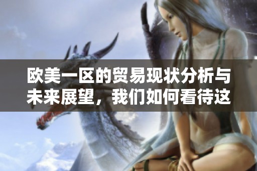 欧美一区的贸易现状分析与未来展望，我们如何看待这一重要市场的发展趋势