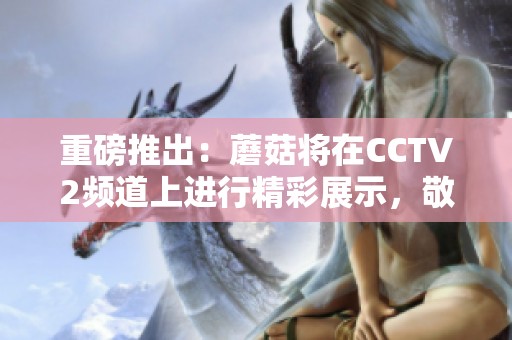 重磅推出：蘑菇将在CCTV2频道上进行精彩展示，敬请期待精彩内容！