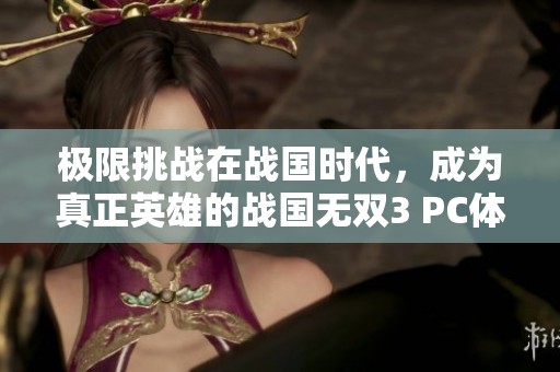 极限挑战在战国时代，成为真正英雄的战国无双3 PC体验！