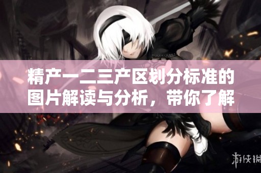 精产一二三产区划分标准的图片解读与分析，带你了解相关内容和方法