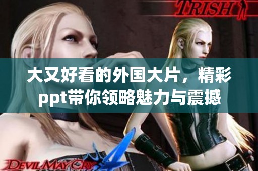 大又好看的外国大片，精彩ppt带你领略魅力与震撼