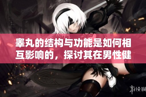 睾丸的结构与功能是如何相互影响的，探讨其在男性健康中的重要性