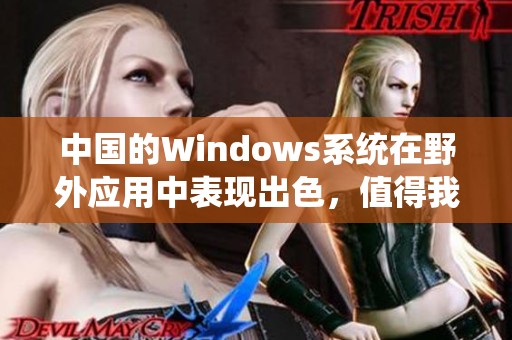 中国的Windows系统在野外应用中表现出色，值得我们深入探索与分析。