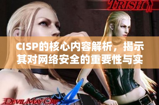 CISP的核心内容解析，揭示其对网络安全的重要性与实际应用