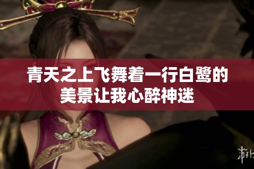 青天之上飞舞着一行白鹭的美景让我心醉神迷
