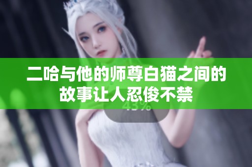 二哈与他的师尊白猫之间的故事让人忍俊不禁