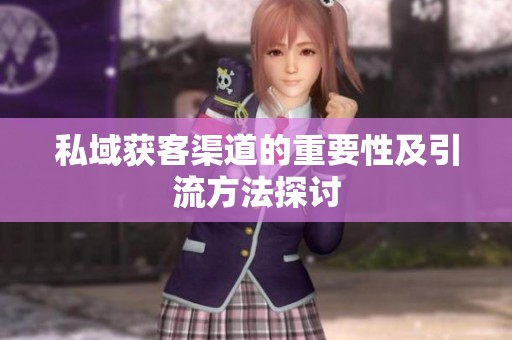 私域获客渠道的重要性及引流方法探讨