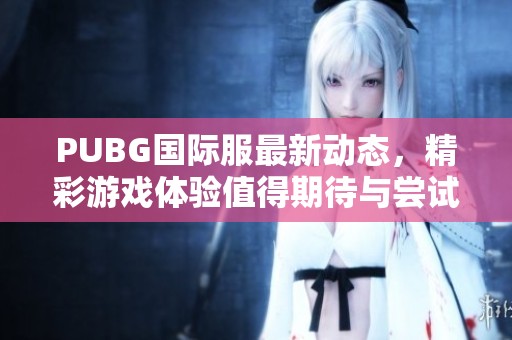 PUBG国际服最新动态，精彩游戏体验值得期待与尝试