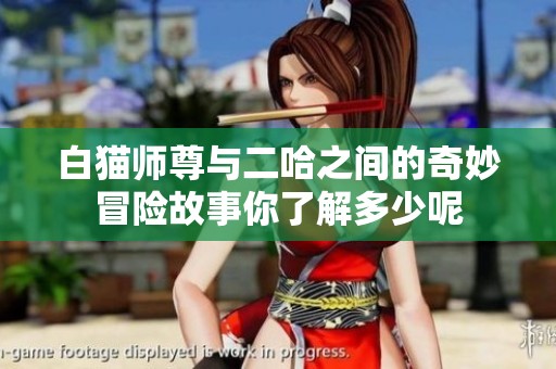 白猫师尊与二哈之间的奇妙冒险故事你了解多少呢