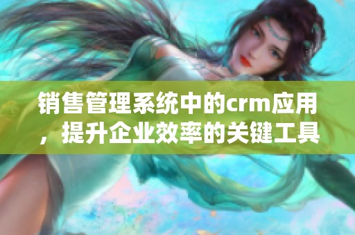 销售管理系统中的crm应用，提升企业效率的关键工具