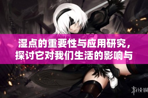 湿点的重要性与应用研究，探讨它对我们生活的影响与价值