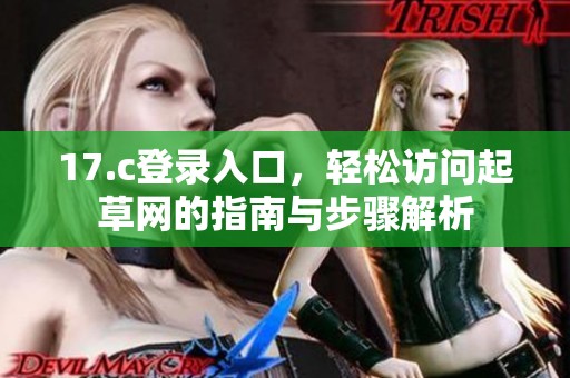 17.c登录入口，轻松访问起草网的指南与步骤解析