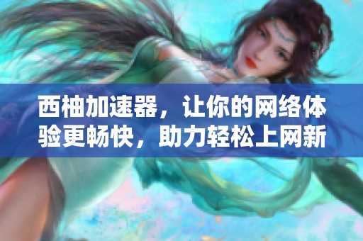 西柚加速器，让你的网络体验更畅快，助力轻松上网新方式