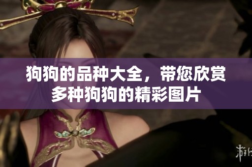 狗狗的品种大全，带您欣赏多种狗狗的精彩图片