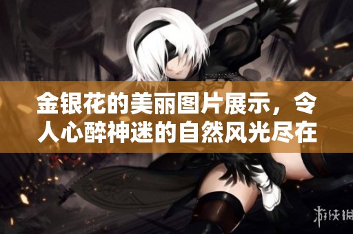 金银花的美丽图片展示，令人心醉神迷的自然风光尽在其中