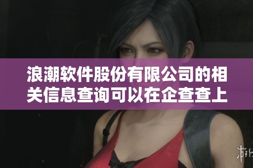 浪潮软件股份有限公司的相关信息查询可以在企查查上进行了解
