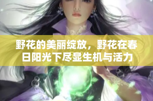 野花的美丽绽放，野花在春日阳光下尽显生机与活力