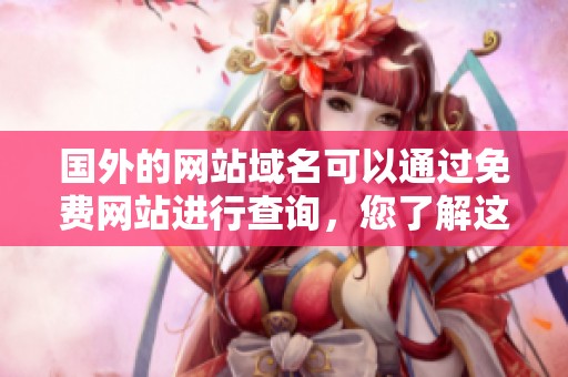 国外的网站域名可以通过免费网站进行查询，您了解这些查询服务器吗