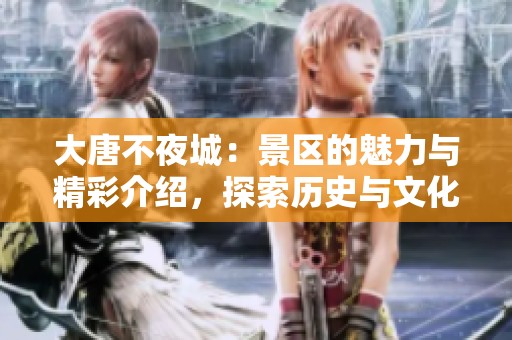 大唐不夜城：景区的魅力与精彩介绍，探索历史与文化的完美结合