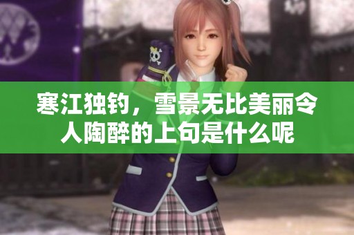 寒江独钓，雪景无比美丽令人陶醉的上句是什么呢