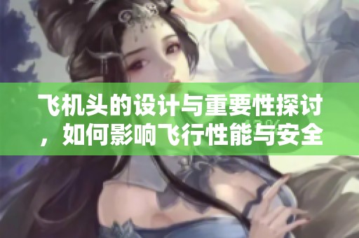 飞机头的设计与重要性探讨，如何影响飞行性能与安全性