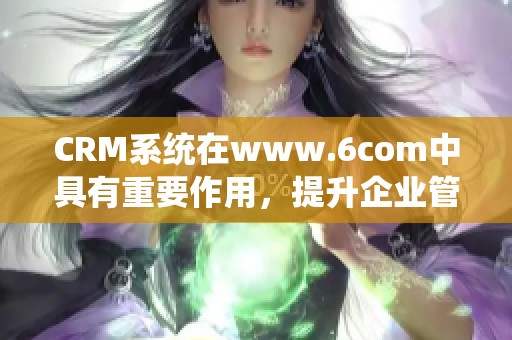 CRM系统在www.6com中具有重要作用，提升企业管理效率的关键所在