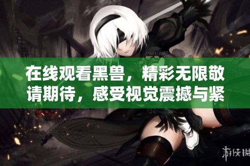 在线观看黑兽，精彩无限敬请期待，感受视觉震撼与紧张刺激