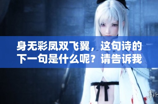 身无彩凤双飞翼，这句诗的下一句是什么呢？请告诉我答案。