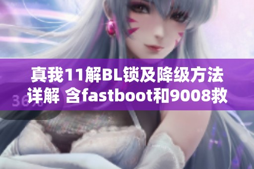 真我11解BL锁及降级方法详解 含fastboot和9008救砖包使用指南