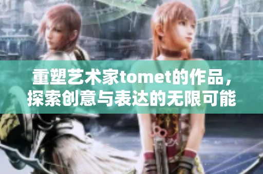 重塑艺术家tomet的作品，探索创意与表达的无限可能性