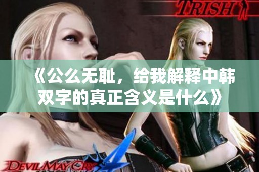 《公么无耻，给我解释中韩双字的真正含义是什么》