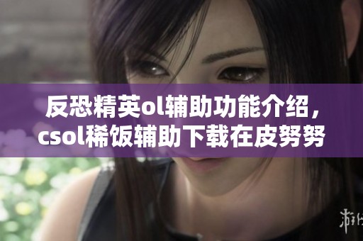 反恐精英ol辅助功能介绍，csol稀饭辅助下载在皮努努网站上获取