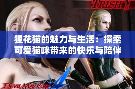 狸花猫的魅力与生活：探索可爱猫咪带来的快乐与陪伴