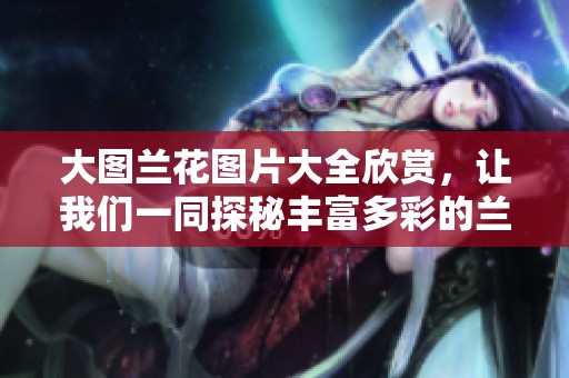 大图兰花图片大全欣赏，让我们一同探秘丰富多彩的兰花世界