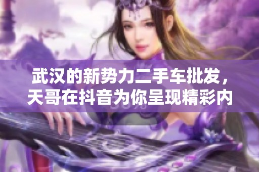 武汉的新势力二手车批发，天哥在抖音为你呈现精彩内容