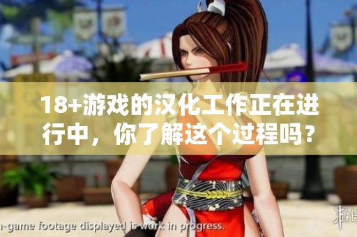 18+游戏的汉化工作正在进行中，你了解这个过程吗？