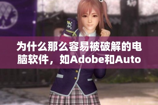 为什么那么容易被破解的电脑软件，如Adobe和Autodesk，是如何出现的呢