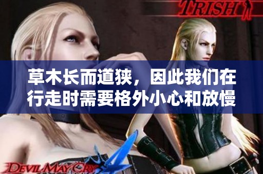 草木长而道狭，因此我们在行走时需要格外小心和放慢脚步。