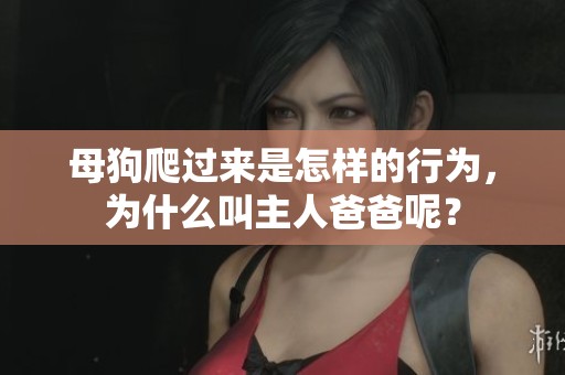 母狗爬过来是怎样的行为，为什么叫主人爸爸呢？