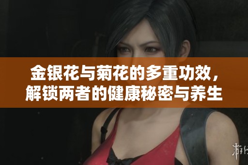 金银花与菊花的多重功效，解锁两者的健康秘密与养生之道