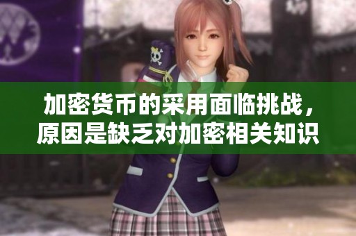 加密货币的采用面临挑战，原因是缺乏对加密相关知识和了解的局限性