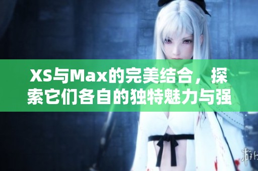 XS与Max的完美结合，探索它们各自的独特魅力与强大功能