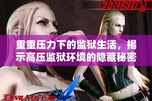 重重压力下的监狱生活，揭示高压监狱环境的隐藏秘密与挑战