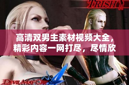 高清双男主素材视频大全，精彩内容一网打尽，尽情欣赏！