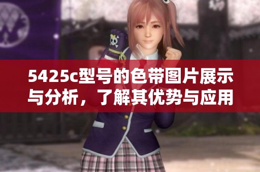 5425c型号的色带图片展示与分析，了解其优势与应用领域