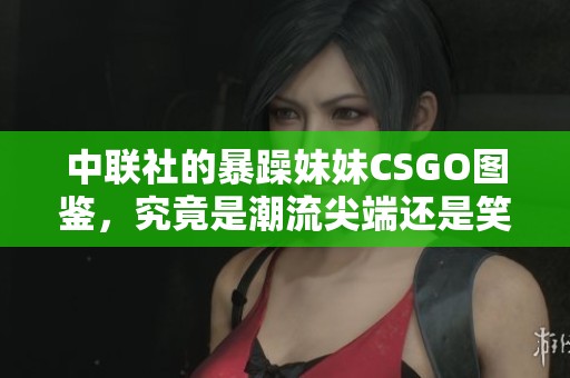 中联社的暴躁妹妹CSGO图鉴，究竟是潮流尖端还是笑料百出呢？欢迎到精航下载站了解更多！