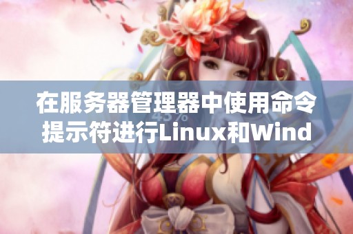 在服务器管理器中使用命令提示符进行Linux和Windows的操作系统管理技巧