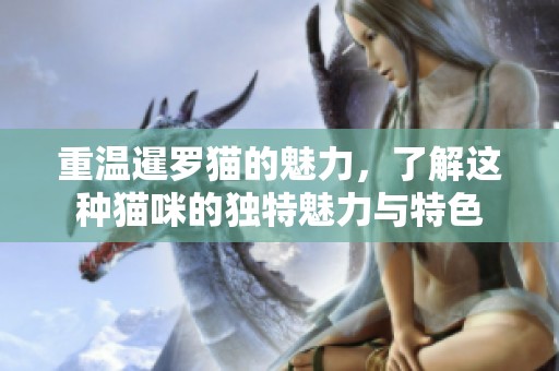 重温暹罗猫的魅力，了解这种猫咪的独特魅力与特色