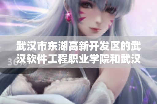 武汉市东湖高新开发区的武汉软件工程职业学院和武汉开放大学介绍
