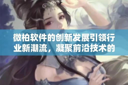 微柏软件的创新发展引领行业新潮流，凝聚前沿技术的力量与未来机遇